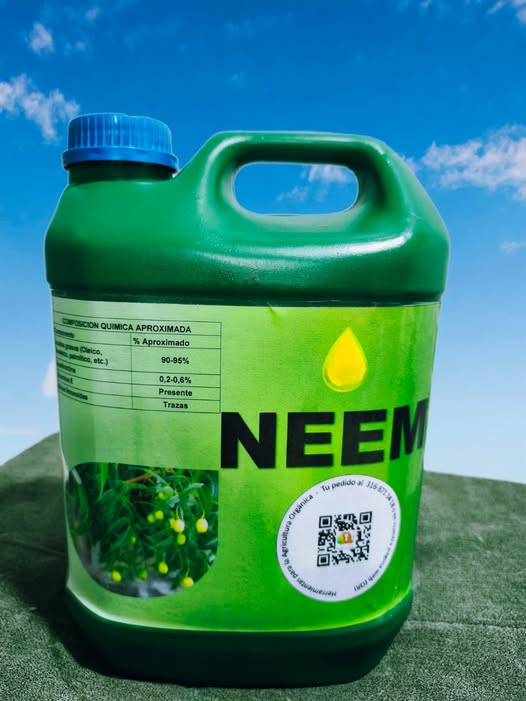 Neem