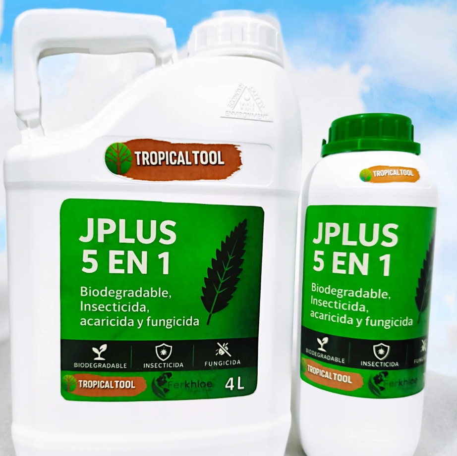 JPLUS 5 EN 1